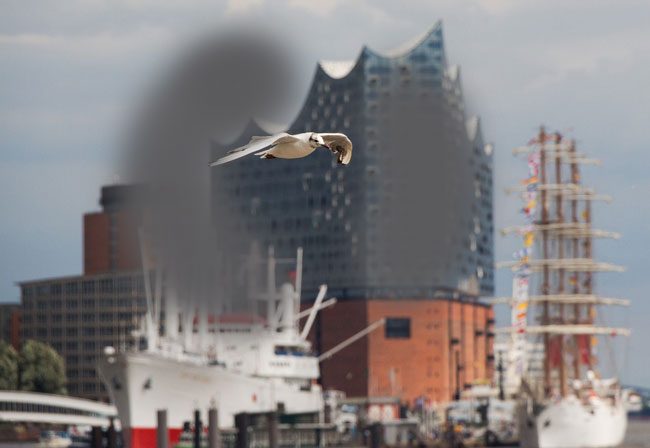 Seheinschränkung durch einen Grüner Star im Anfangsstatium